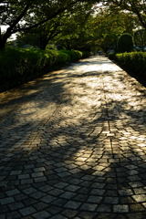 秋の路-1
