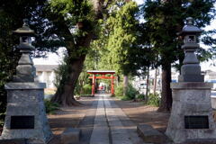 　開発地に残る 社神社 ―1