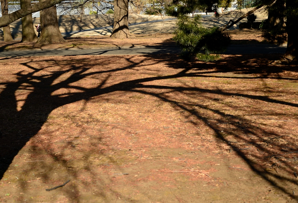 描かれる冬の影－２