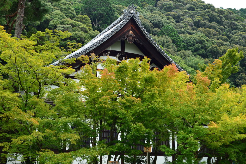 九月の永観堂・京都ー1