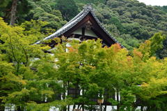 九月の永観堂・京都ー1