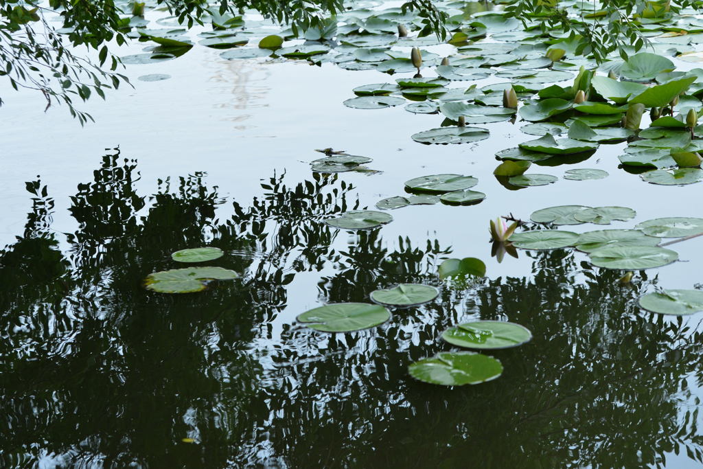 無題　－2