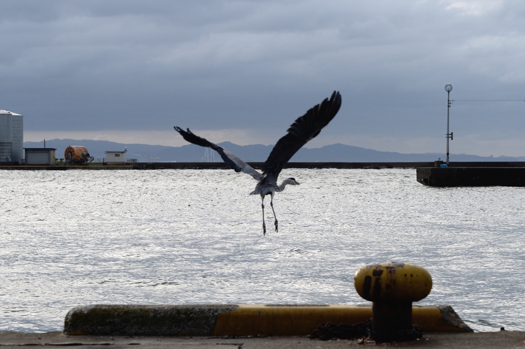 日本海の港でー２
