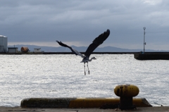 日本海の港でー２
