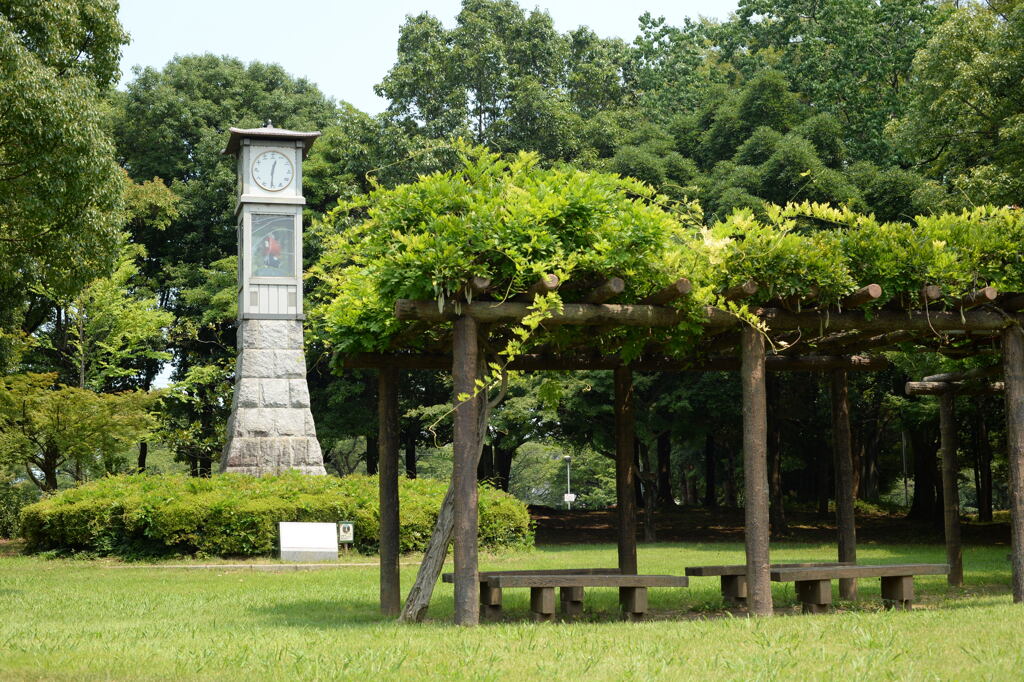 盛夏の城址公園―2