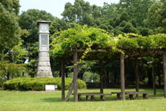 盛夏の城址公園―2