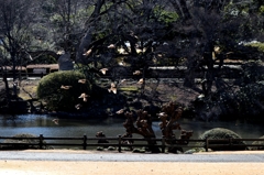 雪の御苑でー3