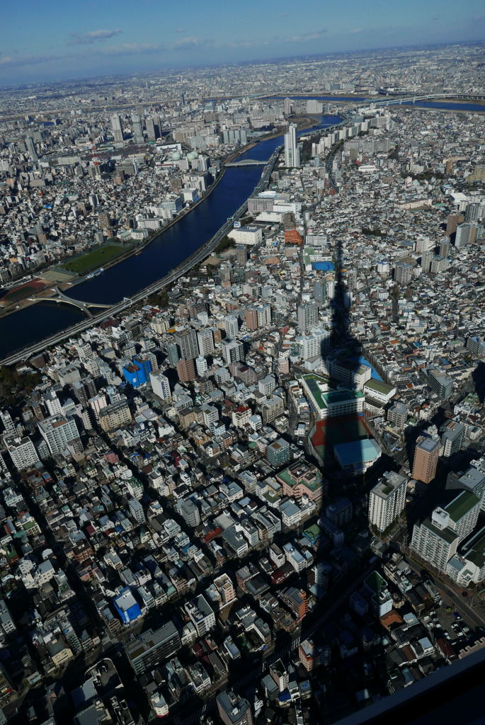 大きい影