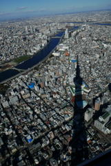 大きい影