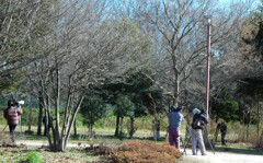  見沼自然公園 ―1