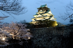 夜桜・大阪城ー３