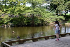 夏の休み場所－1