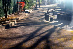 季節は 移る ―1