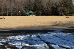 残　雪－2