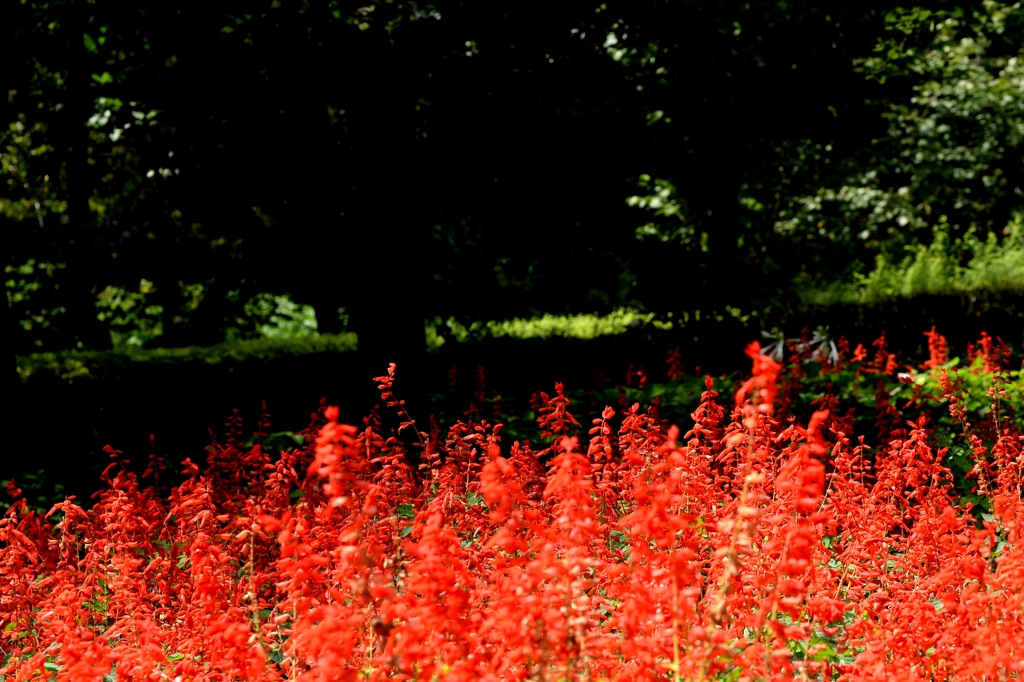 八月の記憶からー2