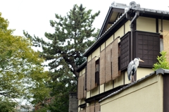 京都でーｄ