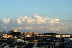 夏 模様 ー1