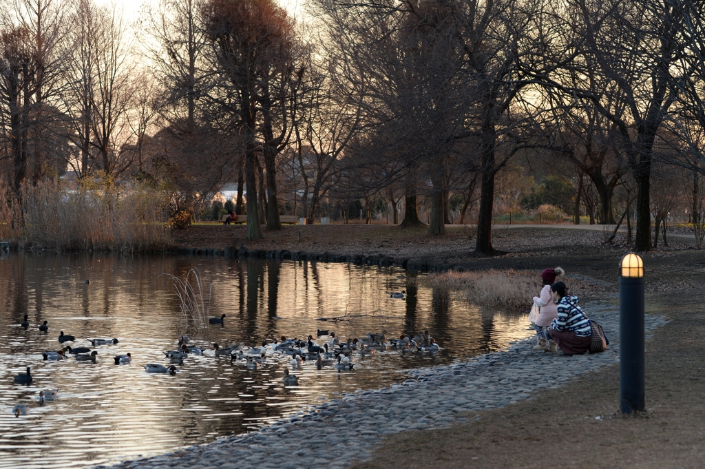 平穏な年明けーC