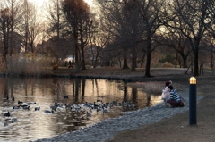 平穏な年明けーC