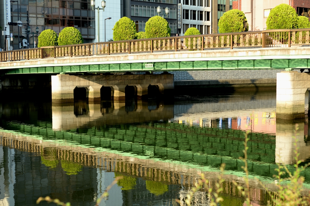 朝の土佐堀川ー2