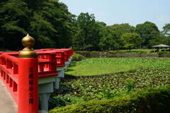 盛夏の城址公園－1
