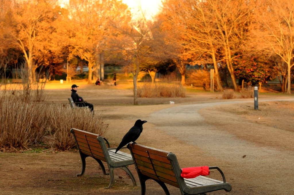 師走の公園でーｃ