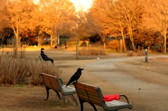 師走の公園でーｃ