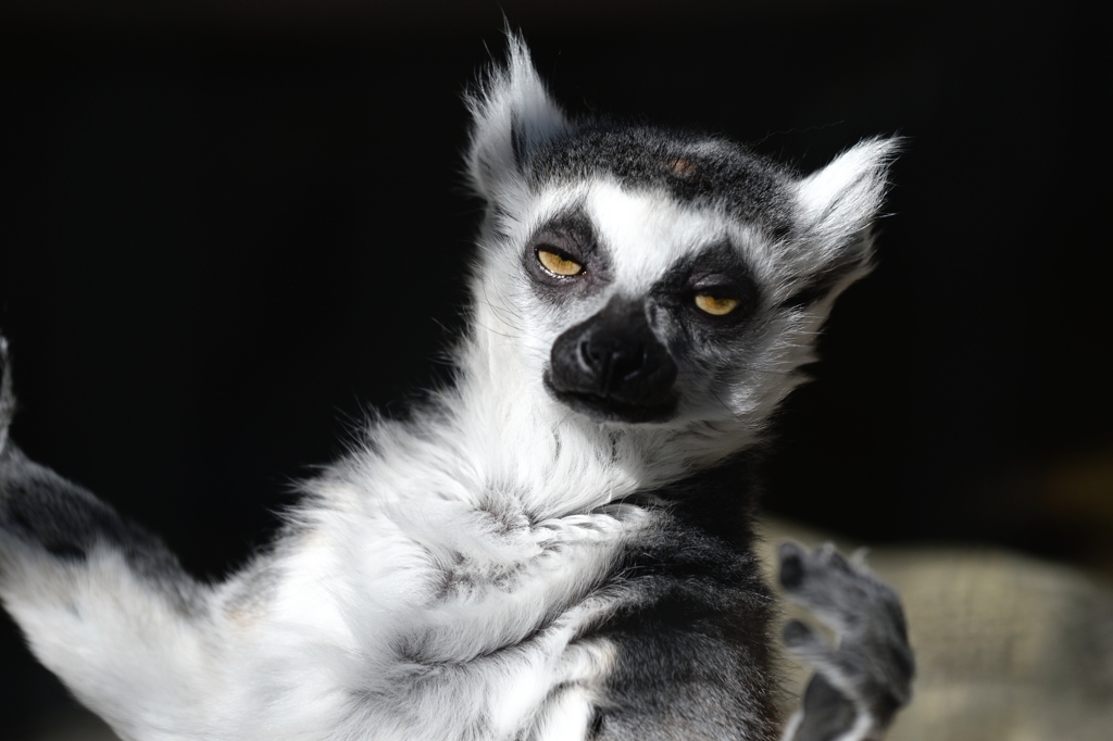 囚われの身ー３