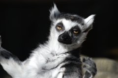 囚われの身ー３