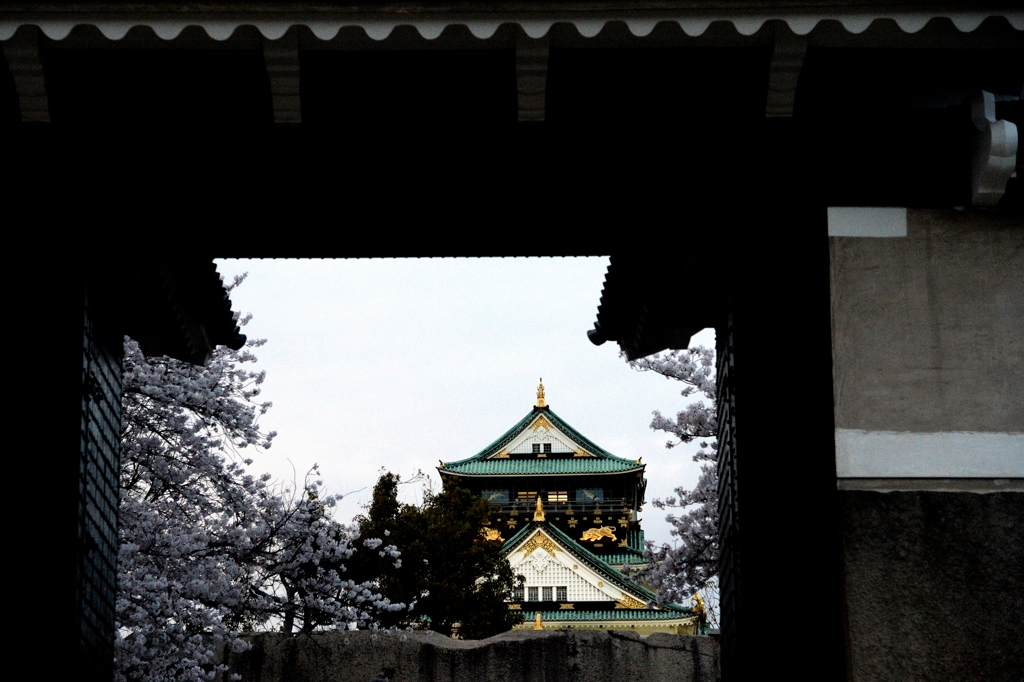 夜桜・大阪城ー１