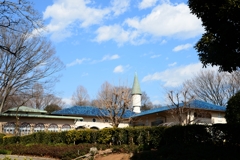 少し　ファンタステックー1