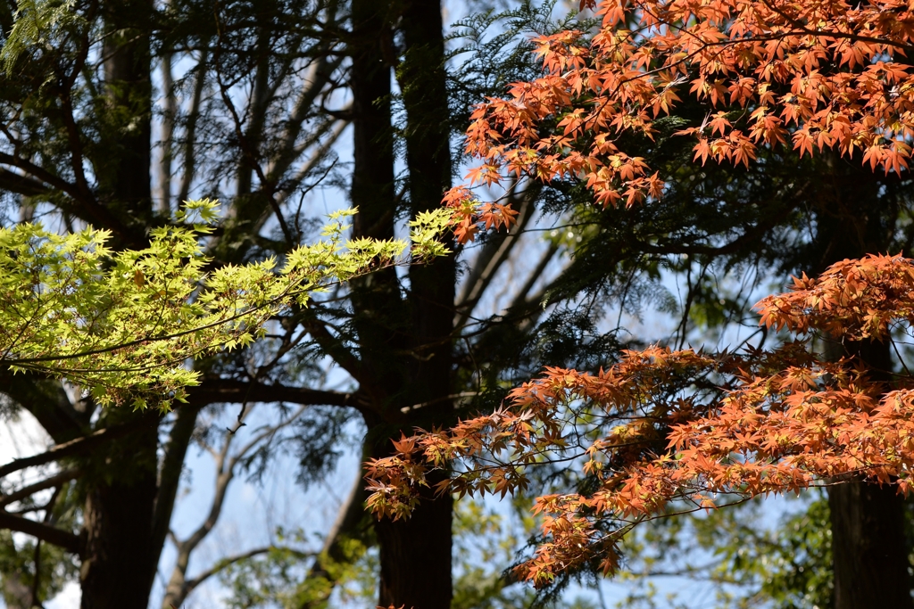 手をつなぐ　－2