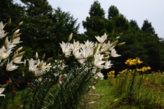 又逢う日までー3