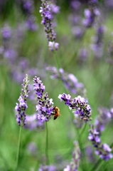 引き寄せられー2