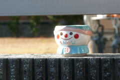 　塀の隙間から こんにちわ ー2