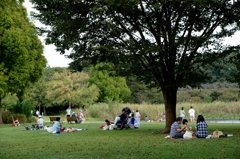 見沼自然公園の池でーa