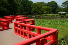 岩槻城址公園ー1