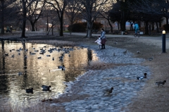 明日に向かいー2