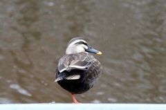 初冬の公園でー４