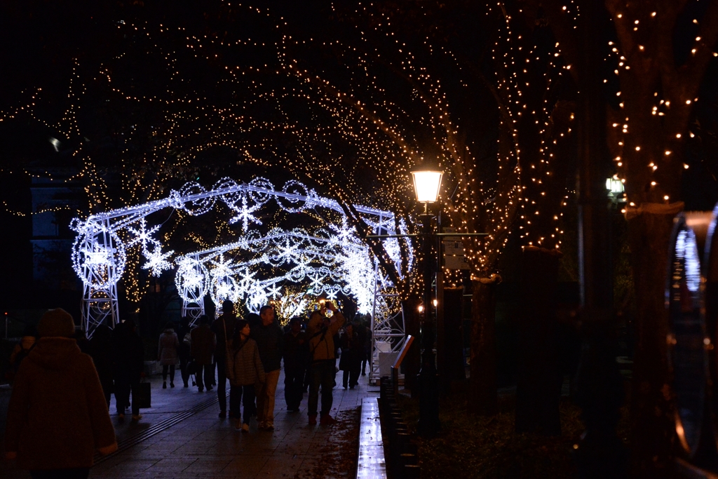 師走 夜景・淀屋橋ー5