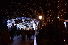 師走 夜景・淀屋橋ー5