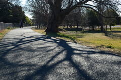 近くの公園へ－１