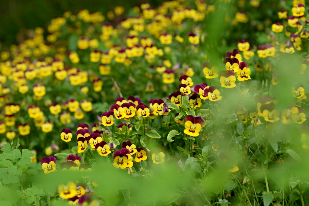 さあ、ともに-1