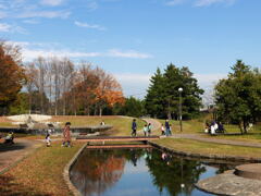土曜日の公園―1