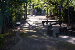誰も来ぬ 小公園の秋 ―1