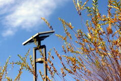  春に向かって ―1