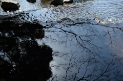 待ち遠しい春ー3