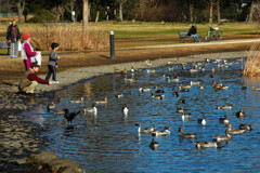 見沼自然公園で ―2