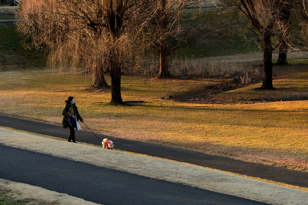 日暮れ 近づく―１