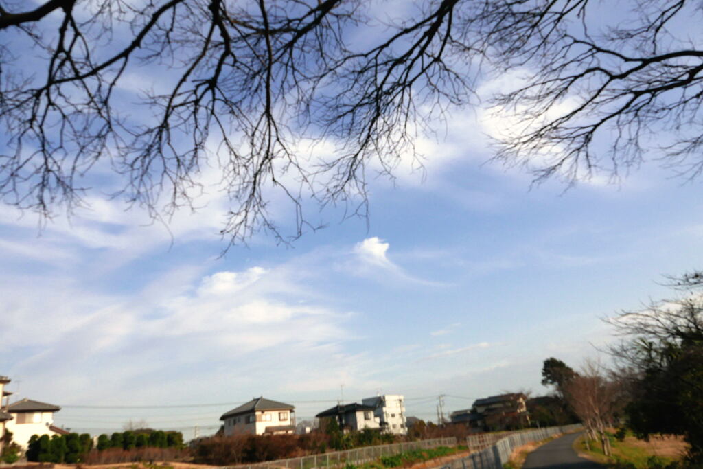 立春の頃　－1